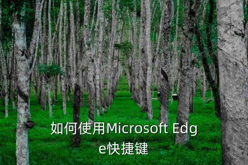 如何使用Microsoft Edge快捷鍵