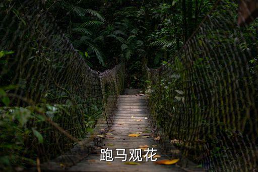 跑馬觀花