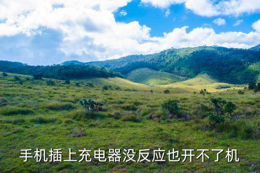 手機(jī)插上充電器沒反應(yīng)也開不了機(jī)