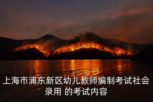 上海市浦東新區幼兒教師編制考試社會錄用 的考試內容