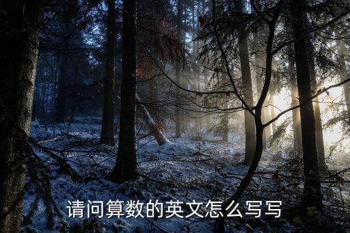 計算英文，計算器用英語怎么說