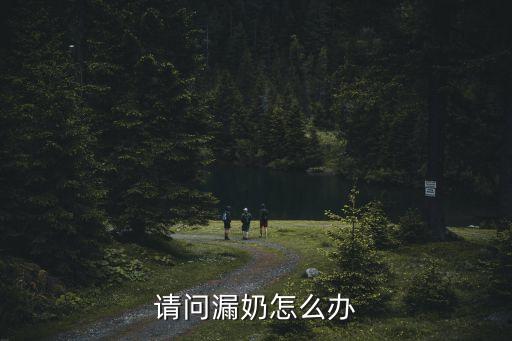 請問漏奶怎么辦