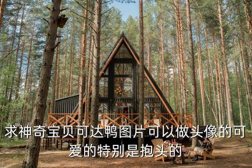 求神奇寶貝可達(dá)鴨圖片可以做頭像的可愛(ài)的特別是抱頭的