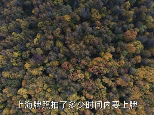上海市區牌照拍中最晚多久上牌，滬牌拍到之后多久內要上牌