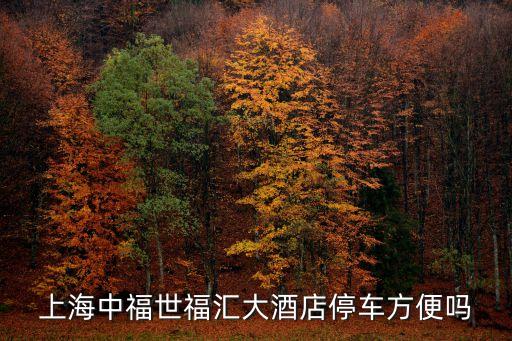 上海中福世福匯大酒店停車方便嗎
