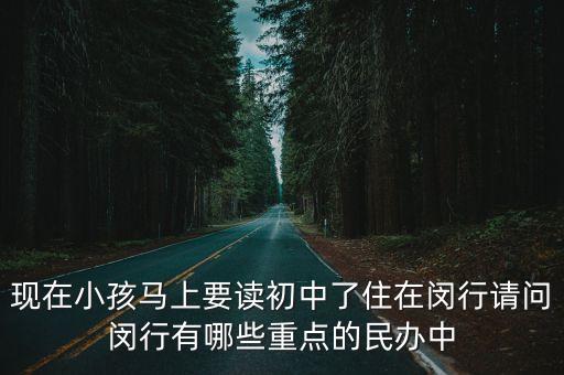 現在小孩馬上要讀初中了住在閔行請問閔行有哪些重點的民辦中