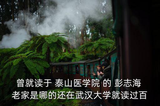 曾就讀于 泰山醫學院 的 彭志海 老家是哪的還在武漢大學就讀過百