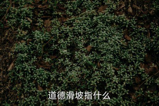 道德滑坡指什么