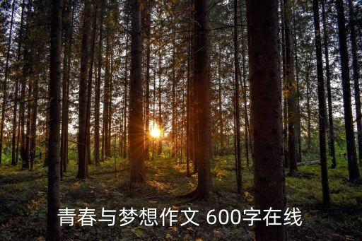 青春與夢想作文 600字在線
