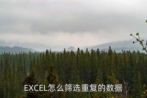 怎么篩選重復數據，excel怎么篩選重復的數據