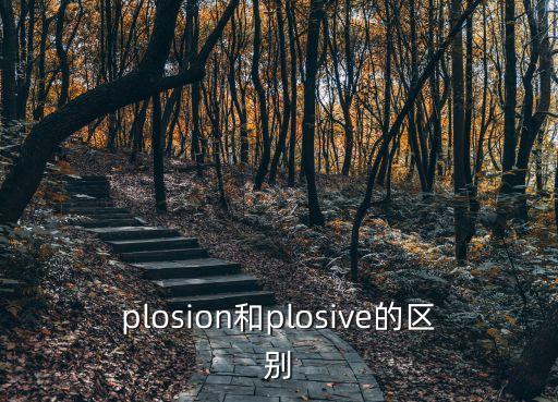 plosion和plosive的區別