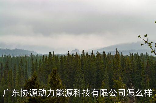 廣東協源動力能源科技有限公司怎么樣