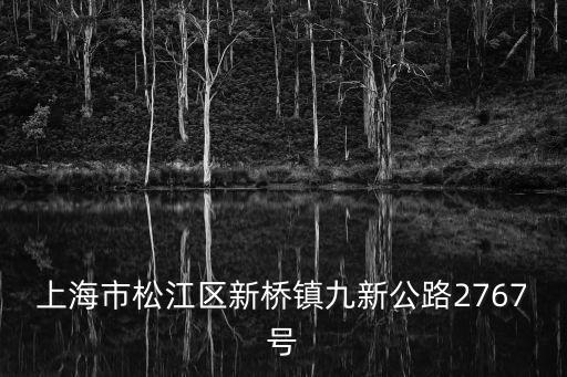 上海市松江區新橋鎮九新公路2767號