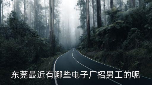 東莞最近有哪些電子廠招男工的呢