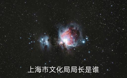上海市文化局局長是誰