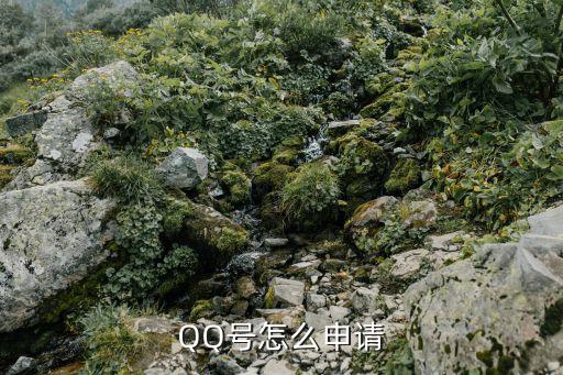 QQ號怎么申請