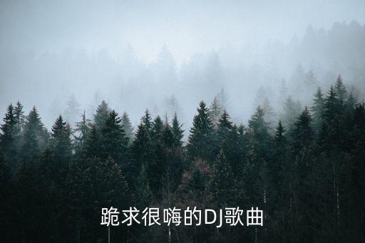 跪求很嗨的DJ歌曲