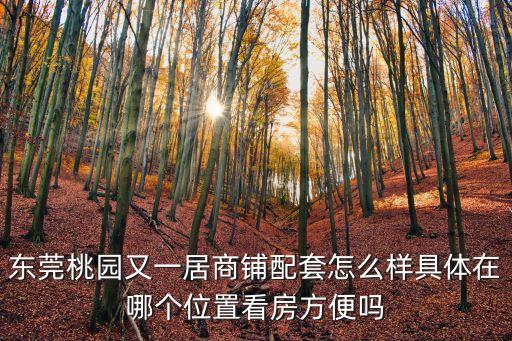東莞桃園又一居商鋪配套怎么樣具體在哪個位置看房方便嗎