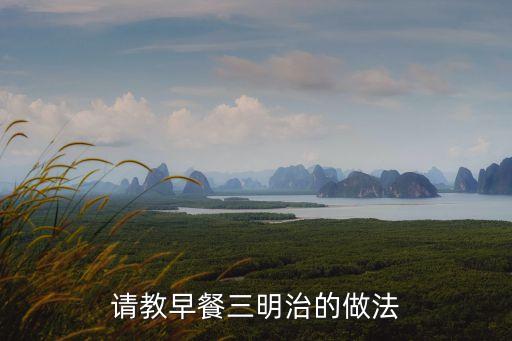 早餐三明治，三明治早餐怎么做好吃