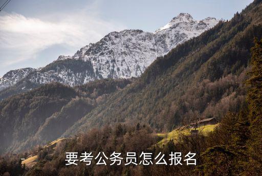 要考公務員怎么報名