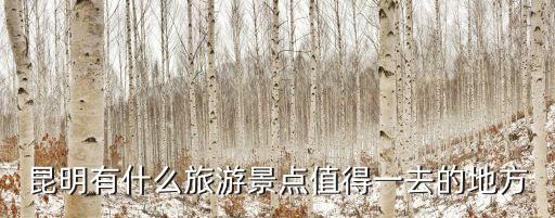 昆明的景點，昆明有什么好玩的地方