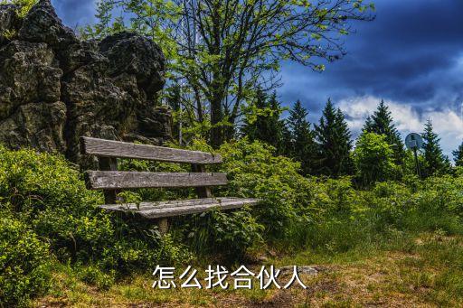 怎么找合伙人