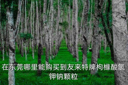 在東莞哪里能購買到友來特牌枸櫞酸氫鉀鈉顆粒