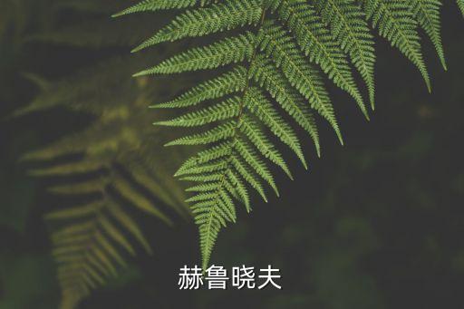 赫魯曉夫