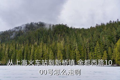 從上海火車站到新橋鎮 金都西路1000號怎么走啊