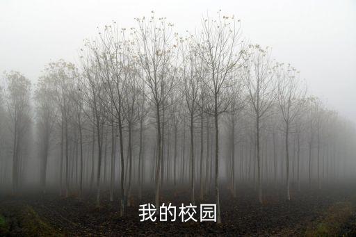 我的校園