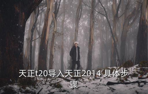 天正2014，天正t20導(dǎo)入天正2014 具體步驟