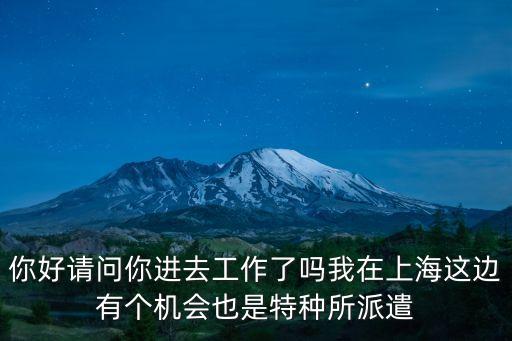上海市2020年勞務(wù)派遣證年檢，你好請問勞務(wù)派遣公司在哪里年審啊