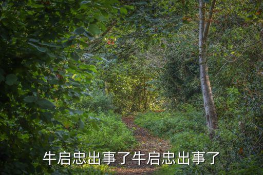 牛啟忠出事了牛啟忠出事了