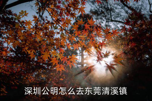 深圳公明怎么去東莞清溪鎮
