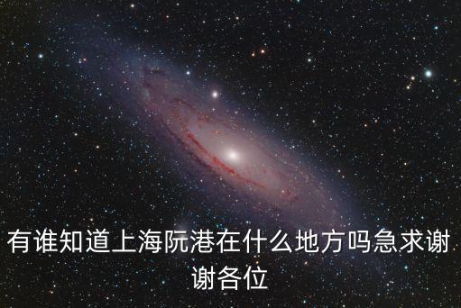 有誰知道上海阮港在什么地方嗎急求謝謝各位