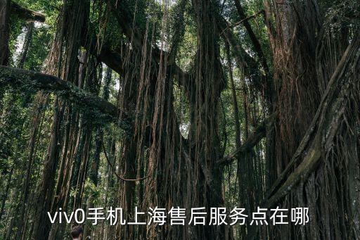 viv0手機(jī)上海售后服務(wù)點(diǎn)在哪