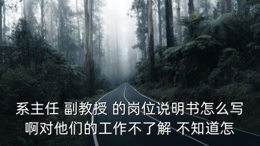 系主任 副教授 的崗位說明書怎么寫啊對他們的工作不了解 不知道怎