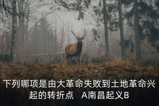 下列哪項是由大革命失敗到土地革命興起的轉折點   A南昌起義B
