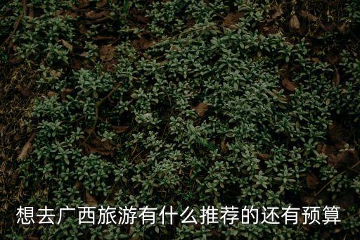 去廣西旅游，去廣西旅游要帶什么