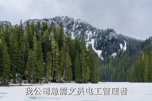 我公司急需文員電工管理者