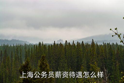 上海公務(wù)員薪資待遇怎么樣