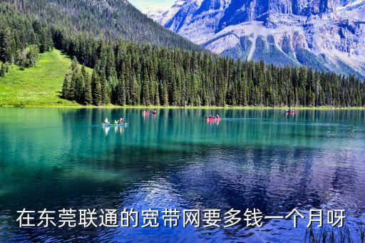 聯通寬帶資費 東莞，在東莞聯通的寬帶網要多錢一個月呀