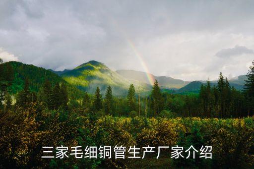 三家毛細銅管生產(chǎn)廠家介紹