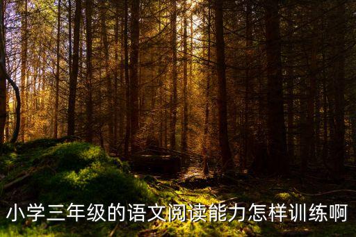 小學三年級的語文閱讀能力怎樣訓練啊