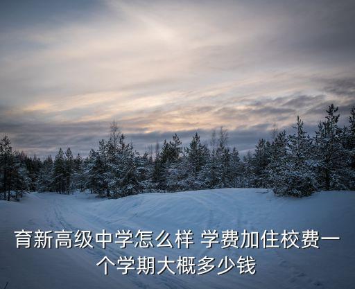 上海市育新高級(jí)中學(xué)是普高嗎，育新高中好還是西子實(shí)驗(yàn)城區(qū)高中好
