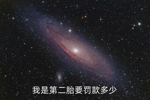 我是第二胎要罰款多少