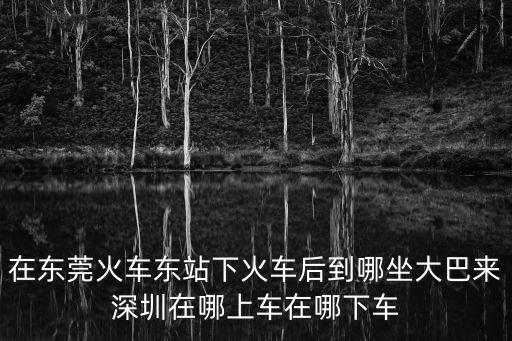 在東莞火車東站下火車后到哪坐大巴來(lái)深圳在哪上車在哪下車