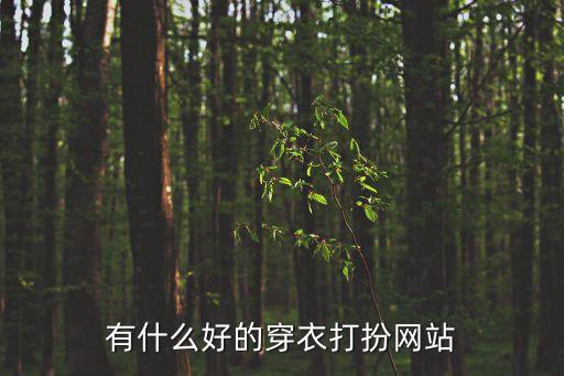 有什么好的穿衣打扮網站