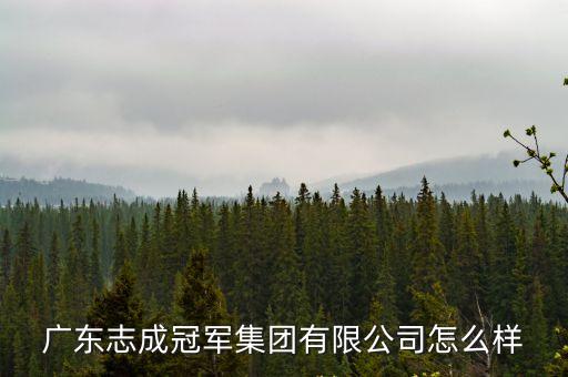 廣東志成冠軍集團有限公司怎么樣