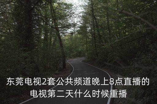 東莞電視2套公共頻道晚上8點(diǎn)直播的電視第二天什么時(shí)候重播